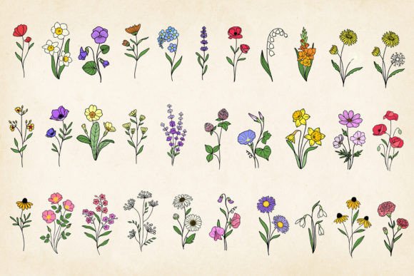 Download Hand-drawn Minimal Wildflowers Bundle - Wildflowers Collection