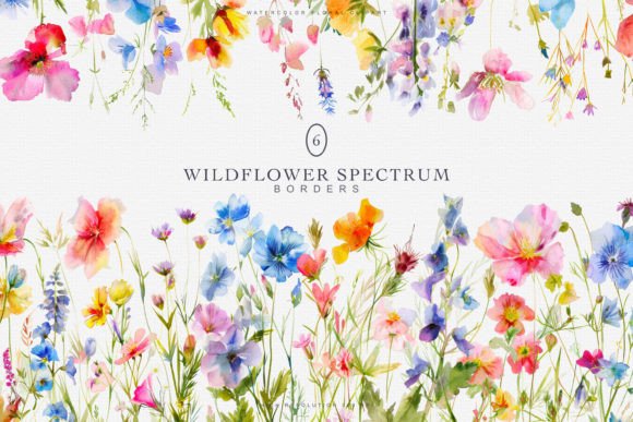 Download Watercolor Colorful Wildflowers Borders - Wildflowers Collection